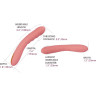 Интерактивный вибромассажер SVAKOM AVA NEO с возвратно-поступательными движениями, персиковый SA059B-PP